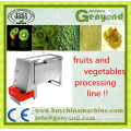 best commercial potato/ginger/carrot/kiwi dicing machine5